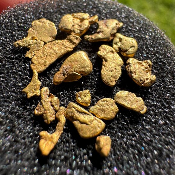 California Gold Nuggets in Display Case - 1.90 grams - Picture 1 of 7